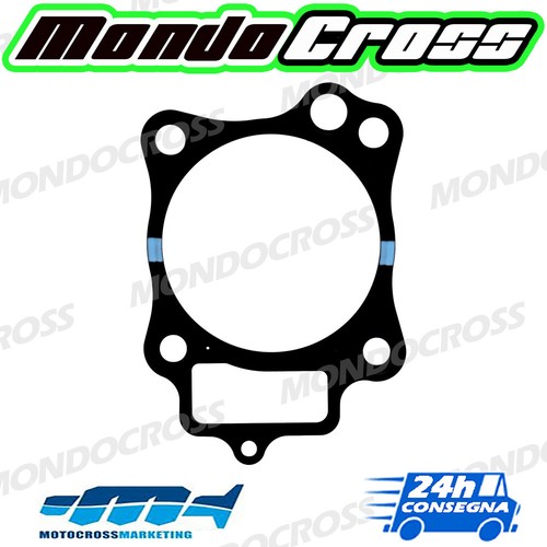 Guarnizione base cilindro mxm - base,